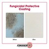 qt Zinsser 276087 White Zinsser, Mold Killing Primer Water-Based Mold