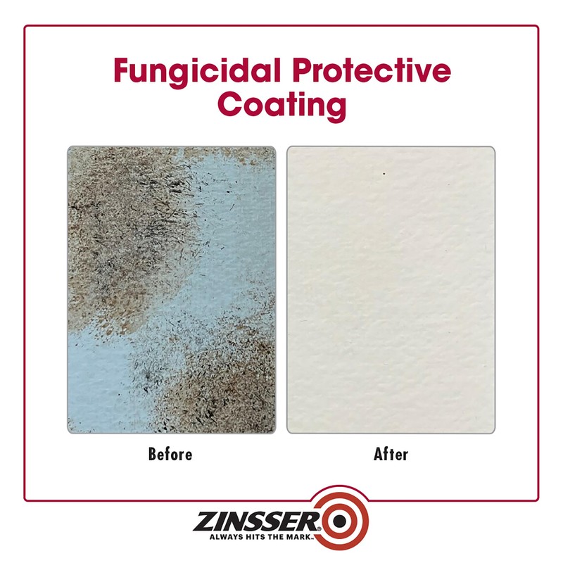 qt Zinsser 276087 White Zinsser, Mold Killing Primer Water-Based Mold