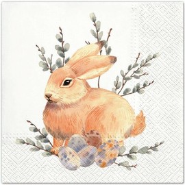 AM Decor Easter Luncheon Paper Napkins 20-Count Dinner Paper Napkins 13" x 13"(Unfolded) Easter Bunny
