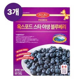 Blueberry Seasonal Fatigue Relief Food 3 x 340g / 블루베리 제철 정성 피로회복 식품 340g 3개