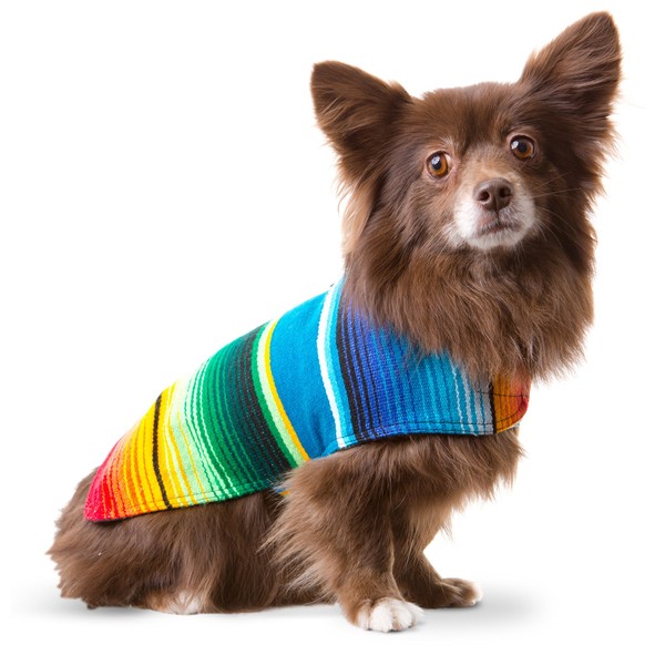 Baja Ponchos Dog Clothes - Handmade Dog Poncho from Authentic