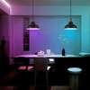 Battery Operated Pendant Lights,Rechargeable Pendant Light with Remote,Black Gold Pendant