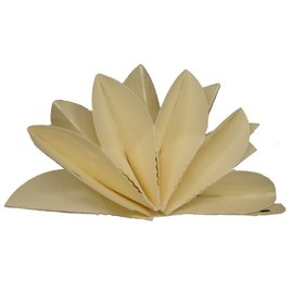 mikuni, Oasis Replacement Filter Bringing Flowers u50e – 03