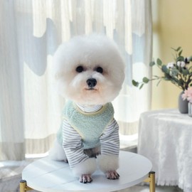 Loyanyy Warm Plush Dog Vest for Winter Soft Fleece Lining Sweater for Small dog Cat Cute Puppy Kitten Clothes Green 16