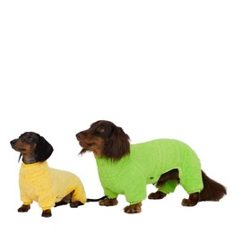 Dachshund Dog Turtleneck Warm Fleece Sweater, 4-Leg Winter Outfit Clothes, Suitable for Dachshunds (Bright Green, Medium)