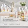 Young Living Thieves Spray | 1 oz | Portable Cleaner