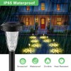 FIFlying 8 x 3000K Solar Lights for Outdoor Use