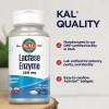 KAL Lactase Enzyme Supplement 60 Softgels for Lactose Digestion Support