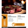 AccuTaste Seasoning Dispenser with Amber Base AMZ