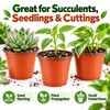 75-150 Pack Flexible Nursery Pots for Seed Starting – Soft