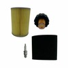 Reliance Golf Cart Tune Up Kit Compatible with Yamaha G2,