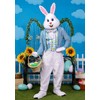 Deluxe Adult Easter Bunny Costume