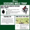 Garsum Mole Traps That Kill, EasySet Eliminator Black Scissor Traps,