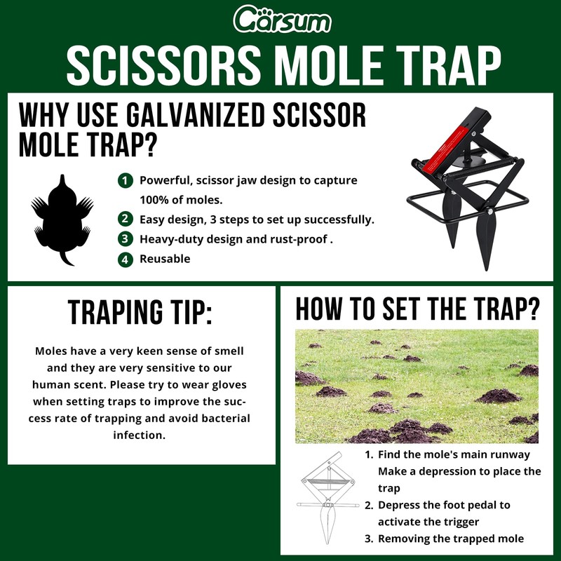 Garsum Mole Traps That Kill, EasySet Eliminator Black Scissor Traps,
