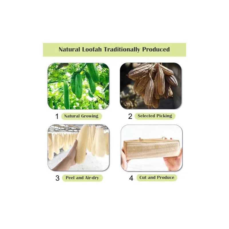Esponja Lufa Natural Espalda Exfoliante Corporal Ducha Hombres Mujeres Baño