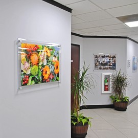 Azar Displays 105530-SLV-2PK Floating Acrylic Wall Frame with Silver Stand Off Caps: 22" x 28" Graphic Size. Overall Frame Size: 26" x 32", Silver (Pack of 2)