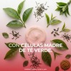TEATRICAL - Crema Facial Antiarrugas. Con células madre de té