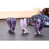 CrystalTears Natural Amethyst Crystal Pocket Guardian Angel, 1.5" Reiki Healing