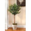 Nearly Natural 5960 4.5' Olive Topiary Tree with European Barrel