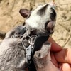 フクロモモンガ 牽引ロープ 小動物 モモンガ ハーネス リードセット ハムスター牽引ロープ 爬虫類 ハムスター お散歩