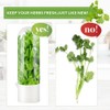 Giyochie Fresh Herb Saver Cilantro Storage Containers for Refrigerator, Transparent