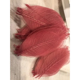 G. Lalo 50 Natural Leaves Crafts, Decoration, Invitation, Gift..Paris- Camelia