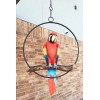 Atlantic Collectibles Ebros Hanging Scarlet Macaw Parrot Perching on Branch