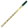 Feadog Brass D Irish Tin Penny Whistle Traditional Musical Woodwind