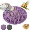 Lyfengdeam Bird Slow Feeder Mat, Interactive Foraging Puzzle Toy for
