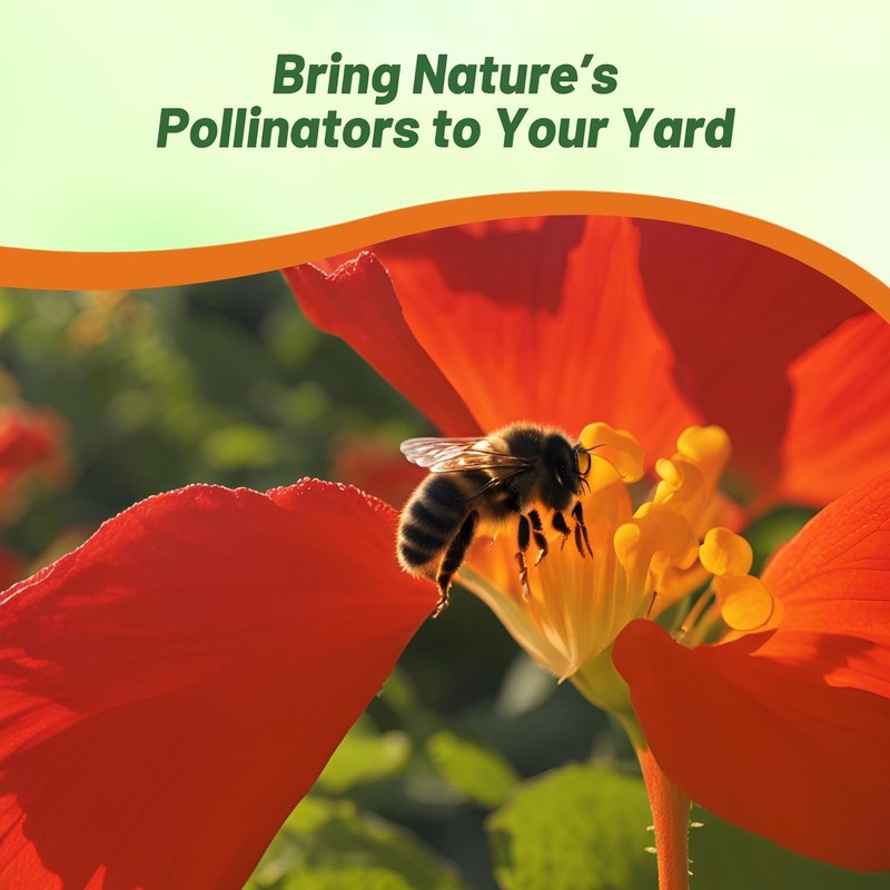 Outsidepride Double Gleam Scarlet Nasturtium Seeds - 200 pcs Annual,