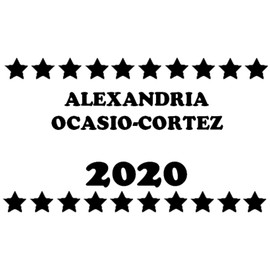 Alexandria Ocasio Cortez 2020 AOC 500 Pcs Stickers Pack 2.25 x 1.25 in