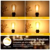 Dimmable LED Edison Light Bulbs 100W Incandescent Equivalent, Vintage Light