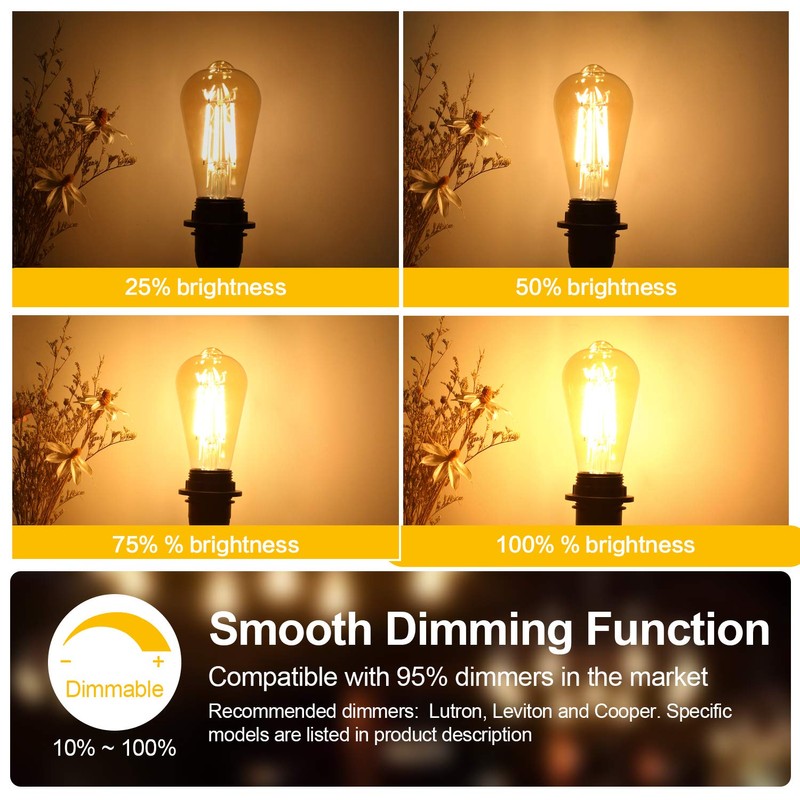 Dimmable LED Edison Light Bulbs 100W Incandescent Equivalent, Vintage Light