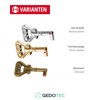 Gedotec Brass-Plated Furniture Key | 1 Piece | Beard Key