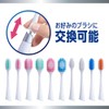 Systema LION Electric Assist Brush Main Unit 1 Piece