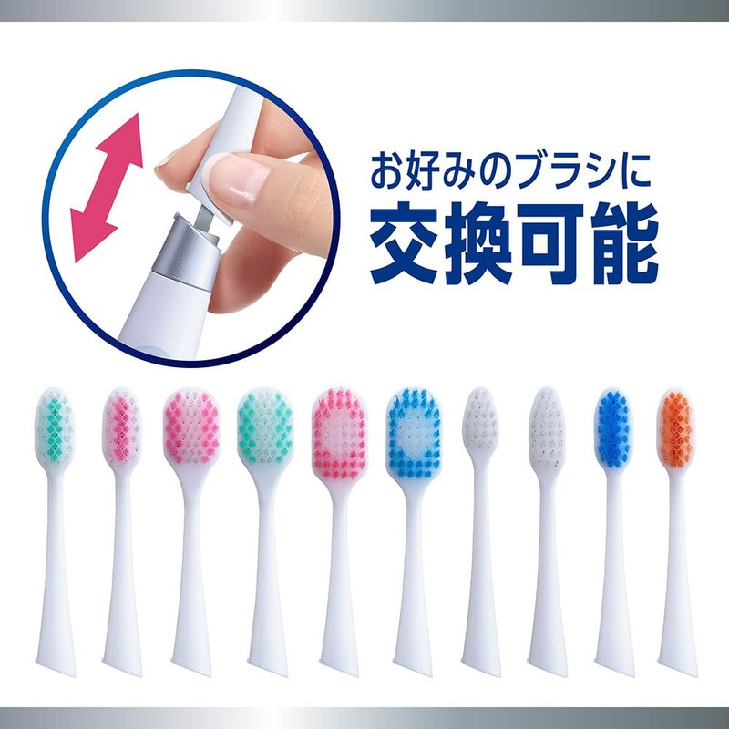 Systema LION Electric Assist Brush Main Unit 1 Piece