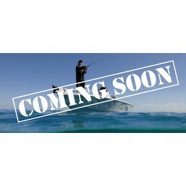 Nomad Design Madscad 190 Autotune SNK Fishing Lure-High-Speed Saltwater Fishing Lure with Autotune System,1-3 feet Diving Depth,Includes Fishing Hook