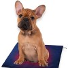 USB Pet Heating Pad 95x118 Inch 3 Mode