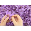 The Gathering of Saffron Brand Saffron, Pure Spanish, Imported by
