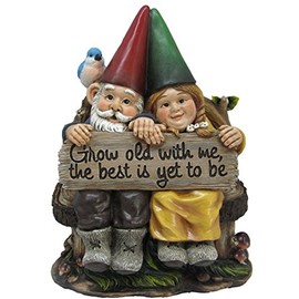 Grow Old with Me Mr and Mrs Gnome Couple Statue 11" Tall for Patio Garden Lawn Home Decor Figurine