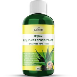 GARDENWISE Organic Premium Kelp Seaweed Concentrate - Liquid Hydroponics Fertilizer - Liquid Plant Food - Nutrient-Rich Soil Enhancer - Natural Plant Food for Aloe Vera (8 OZ)