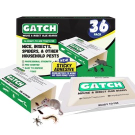Gatch Glue Board (Pack 36) – Sticky Traps for Indoor & Outdoor - Pet & Child Safe Pest Control with Ultra Sticky Pre Baited Mouse & Insect Traps for Rodents, Bugs, Cockroaches
