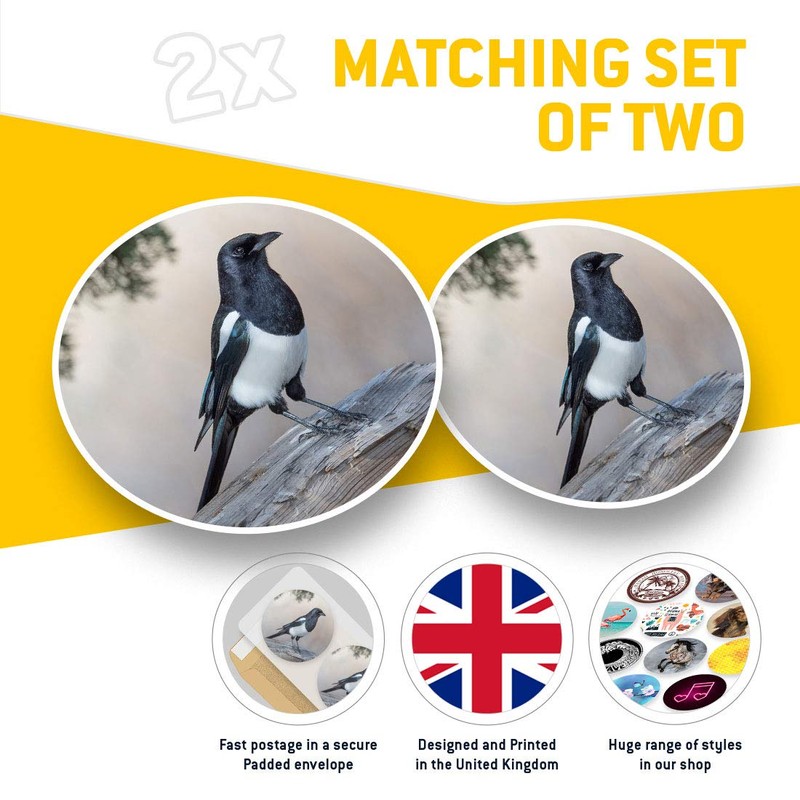 Vinyl Stickers (Set of 2) 7.5cm - Magpie Bird Animals