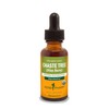 Herb Pharm Chaste Tree Liquid Extract for Female Reproductive System