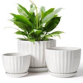 STHIE STHIE 4/5/6 Inches Ceramic Plant Pots with Drainage Holes and Saucers, Round Flower Pots for Indoor Plant, Modern Flower Planters Set of 3 (White-Big Size)