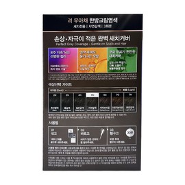 ryo Ryeo Uachae Stylish Gray Hair Cream 5N Natural Brown 3 servings / 려 우아채 멋내기 새치크림 5N 자연갈색 3회분