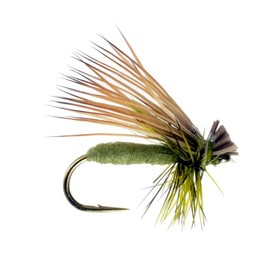 The Fly Crate Foam Caddis - Fly Fishing Flies (1 pc) - Olive, 16