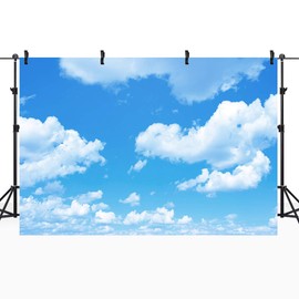 Riyidecor Blue Sky White Cloud Backdrop Polyester Fabric Natural Scenery Clear Sky Photography Background Fresh 7Wx5H Feet Decoration Celebration Props Party Photo Shoot