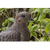 Hi-Line Gift Various Bird on Stump Statues (Mourning Dove), Multi