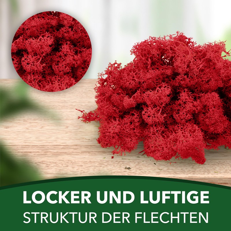 sphagnum-shop.com Real Decorative Moss Reindeer Moss in Red 500 g